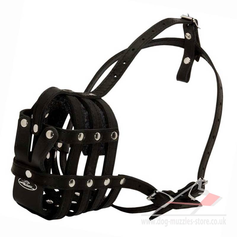 leather muzzle bulldog muzzle uk bestseller small muzzle leather muzzle bulldog muzzle uk bestseller small muzzle