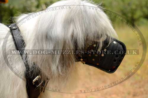 Basket Dog Muzzle for Large Breeds