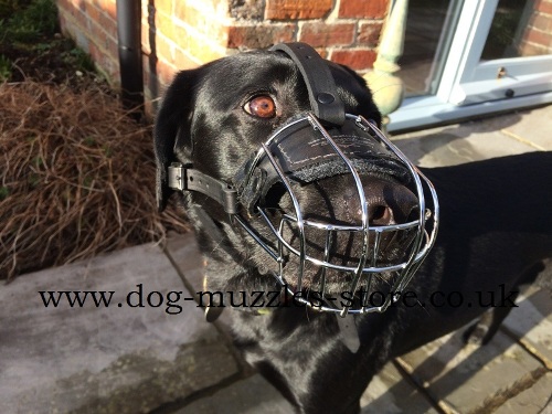 Ventilated Wire Dog Muzzle Basket