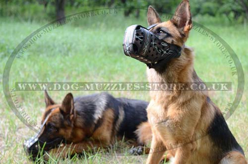 Working dog training muzzle