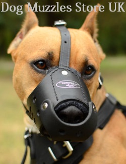 dog muzzle for dog safety and comfort