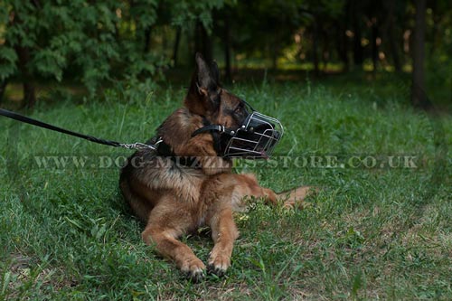 German Shepherd Muzzle Wire Basket