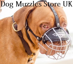 dog muzzle UK bestseller
