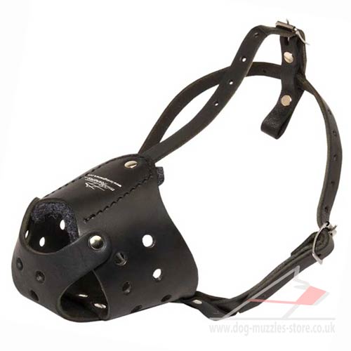 Akita Husky training comfortable leather dog muzzle