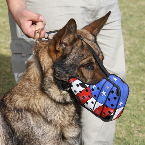 leather muzzle for large dogs