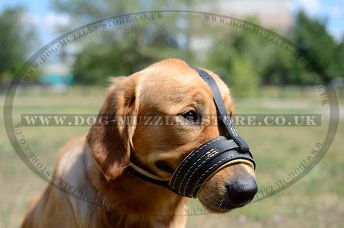 Soft dog muzzle
