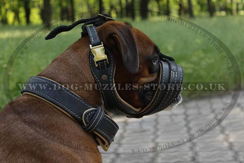 Soft Leather Dog Muzzle for Boxer