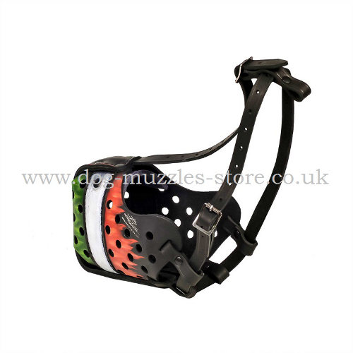 Leather Muzzle for Dogs Training