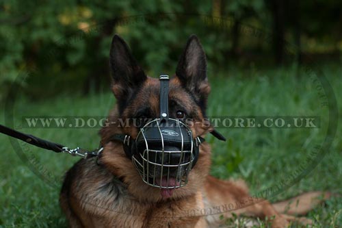 German Shepherd Dog Muzzle Wire Basket