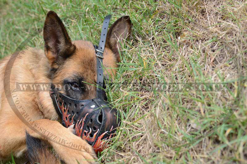Leather Dog Muzzle for German Shepherd