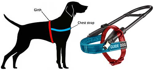 guide dog harness size