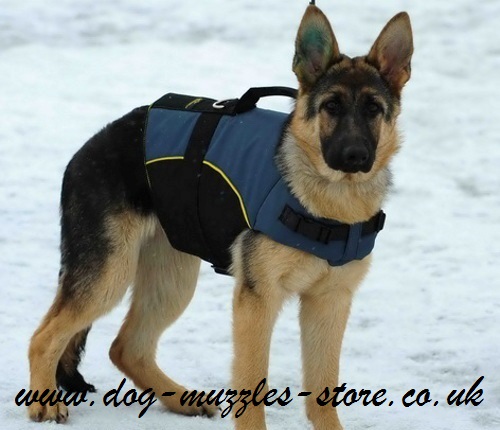 warm dog coat with handle support