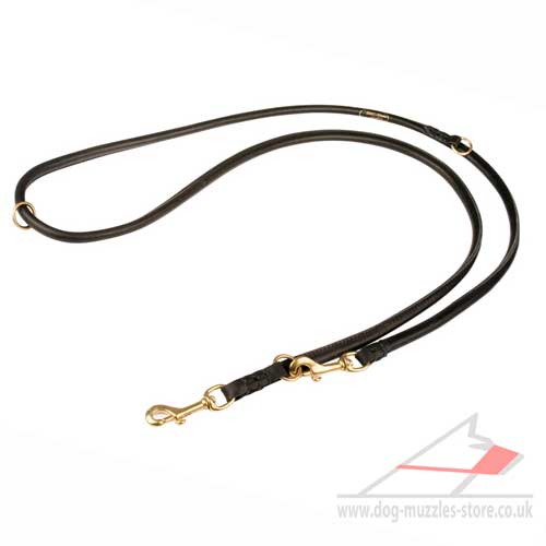 Dog Lead 5 in 1 | Double Dog Lead for Multipurpose Use