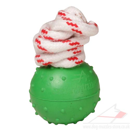 Non Sinking in Water Dog Toy Ball with Rope, 2 in (5 cm)