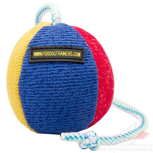 Soft Dog Ball on Rope 4.3 in Diameter