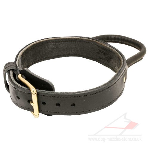 order leather dog collar in UK