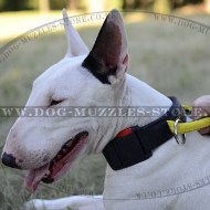 Quick Release Nylon Dog Collar for Bull Terrier Size