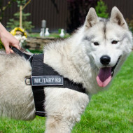 Non Pull Dog Harness for Siberian Husky Walking and Training