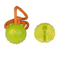 Solid Rubber Dog Ball | Dog Toy on Rope