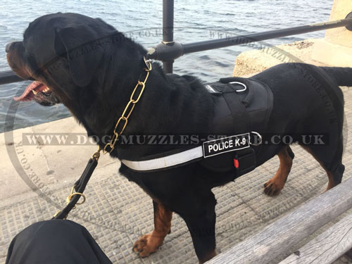 reflective harness for Rottweiler