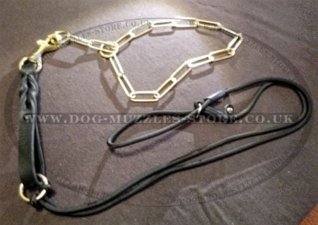 Short Dog Lead Braided Leather (19mm)