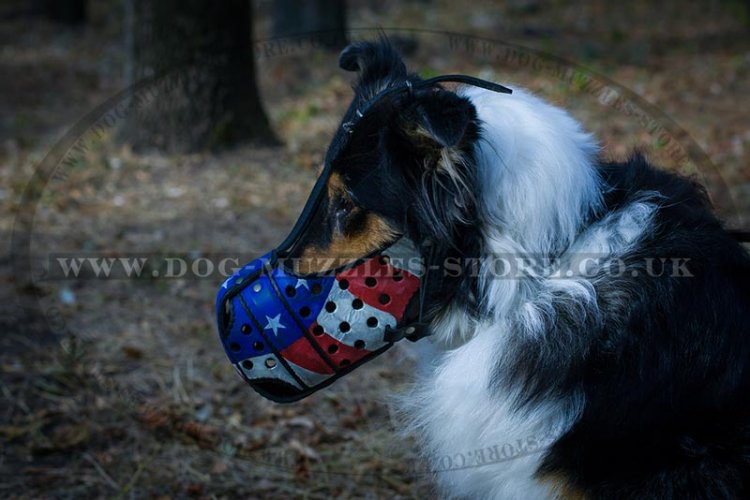 Handmade Painted Collie Dog Muzzle for Active Dogs Training - Click Image to Close