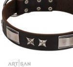 Embellished Chocolate Brown Dog Collar by FDT ARtisan
