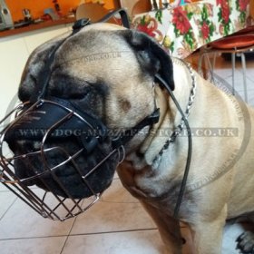 Wire Basket Dog Muzzle for Boerboel Mastiff UK Bestseller
