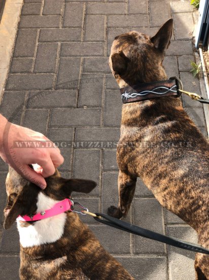 Designer Dog Collar with Hand-Painting "Barbed Wire"