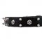 Super Funky Dog Collar with Spikes and Skulls