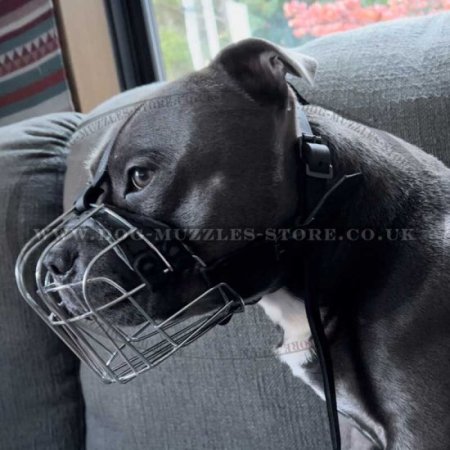 Staffie Muzzles Basket Form Soft Padded