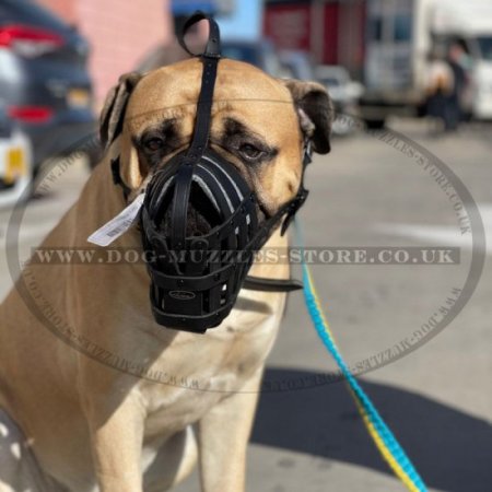 Soft Bullmastiff Muzzles UK Made of Leather