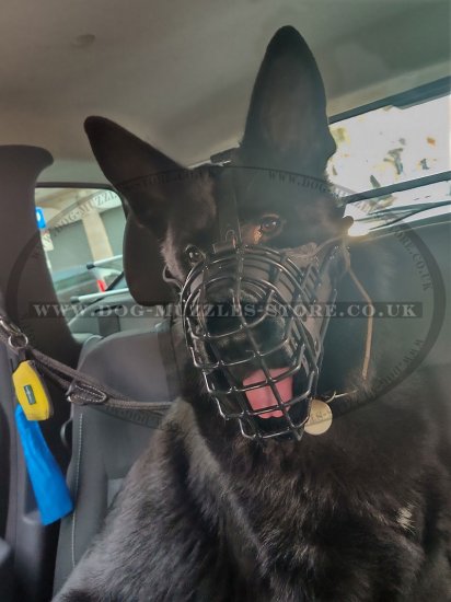 Police K9 Dog Muzzle for Service Dogs Leather Padded