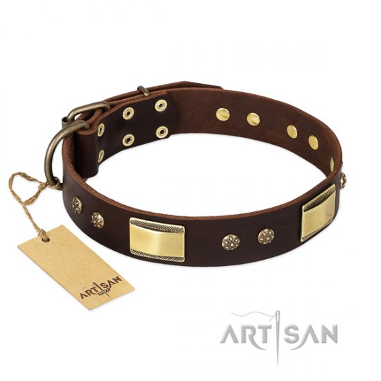 Exclusive Leather Dog Collar FDT Artisan 'Rich Fashion'