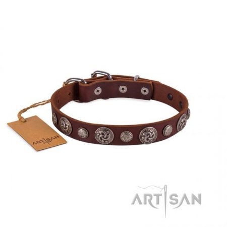 Designer Studded Dog Collar With Round Ornaments FDT Artisan