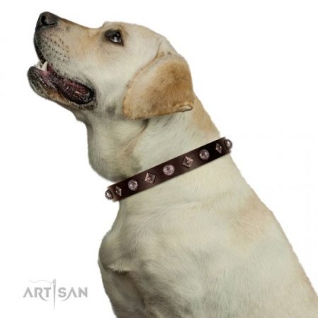 Exclusive Brown Leather Dog Collar With Nameplate UK