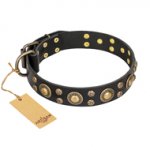 Great Black Dog Collar with Studs FDT Artisan 'Baroque Chic'