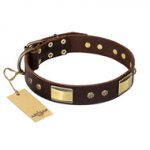 Exclusive Leather Dog Collar FDT Artisan 'Rich Fashion'
