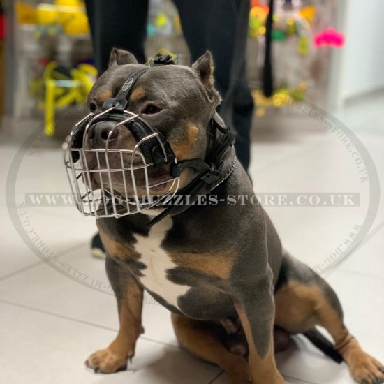 Metal Wire Dog Muzzle For XL Bully Size