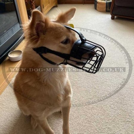 Strong Metal Wire Basket Dog Muzzle "For Everyone"