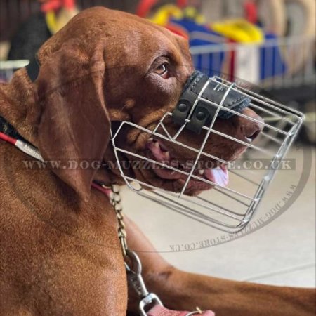 Wire Basket Dog Muzzle That Allows Drinking and Eating