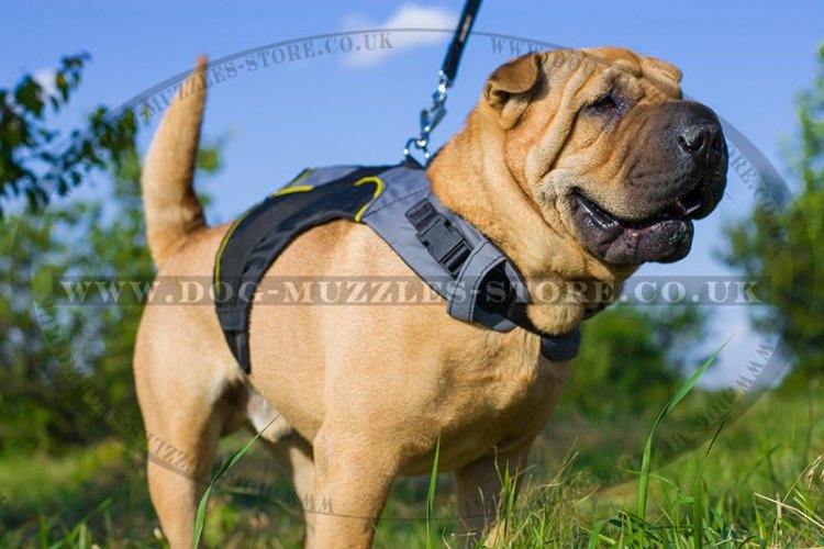 Dog Harness Rain Jacket For Shar Pei | Dog Vest Harness Jacket