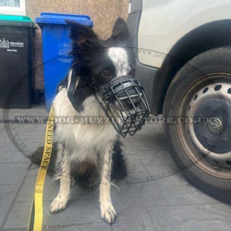 Special Dog Muzzle with Rubber Cover, Border Collie Muzzle Shape