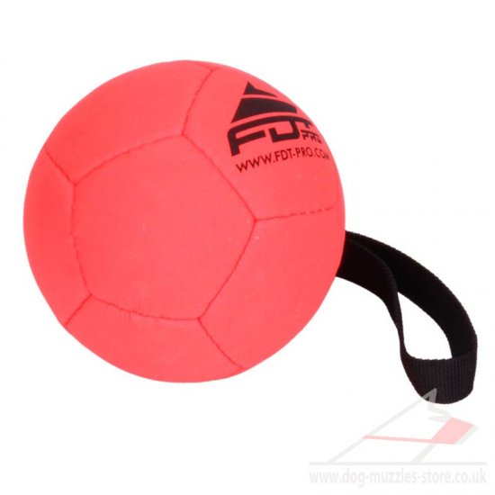 Dog Ball Toy With Handle