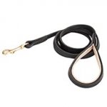 Dog Lead with Padded Soft Handle and Durable Stitch