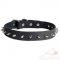 Spiked Dog Collar Best Quality and Price from the Producer