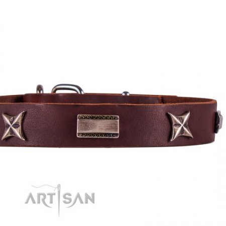 Handmade Strong Brown Studded Dog Collar FDT Artisan