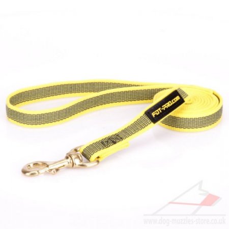 NEW! Trendy Yellow Dog Design Leash For Dog Daily Walk