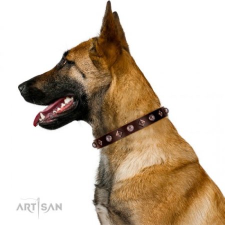 Exclusive Brown Leather Dog Collar With Nameplate UK