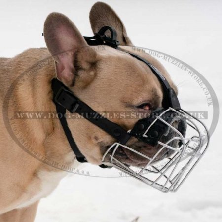 Best Muzzle for French Bulldog | Basket Muzzle for Frenchie
